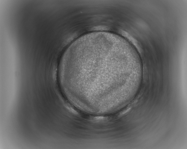 X0000112410153200909041403