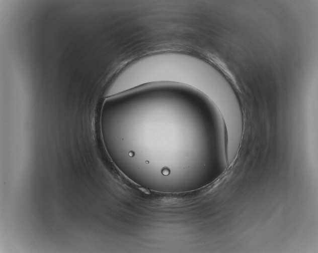 X0000112410154200909041403