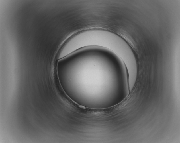 X0000112410156200909041403