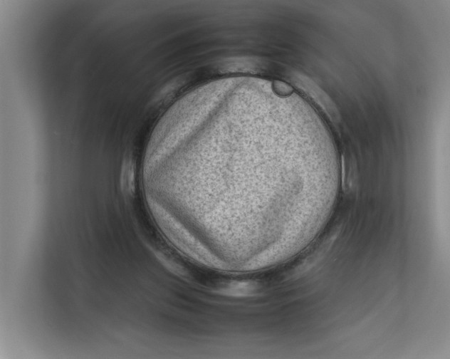 X0000112410157200909041403