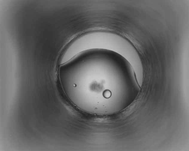 X0000112410160200909041403