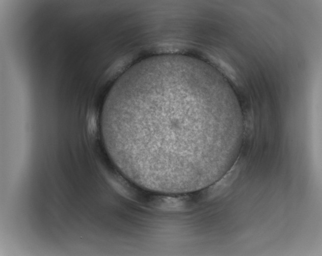 X0000112410166200909041403