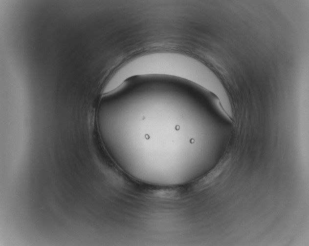 X0000112410168200909041403