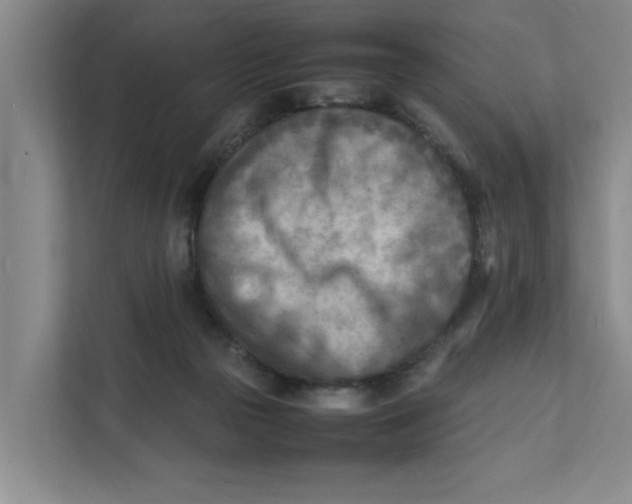 X0000112410169200909041403