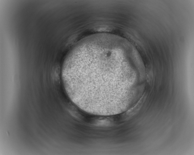 X0000112410175200909041404