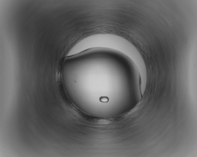 X0000112410176200909041404