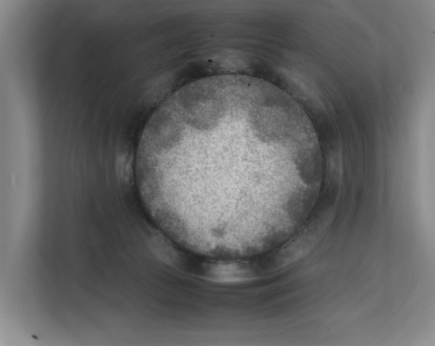 X0000112410177200909041404