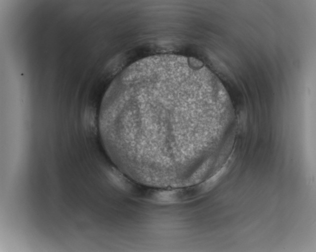 X0000112410178200909041404