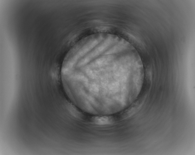 X0000112410181200909041404