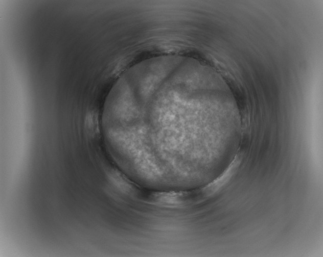 X0000112410182200909041404