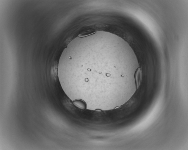 X0000112410190200909041404