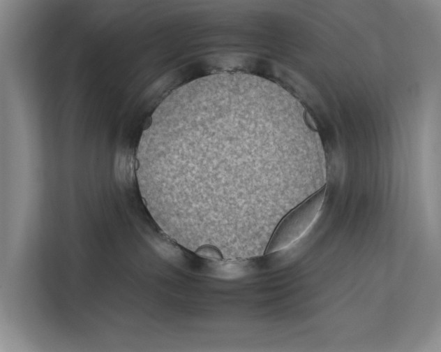 X0000112410191200909041404