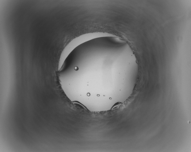 X0000112410192200909041404