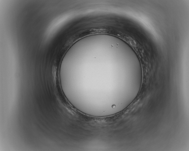 X0000112410194200909041403