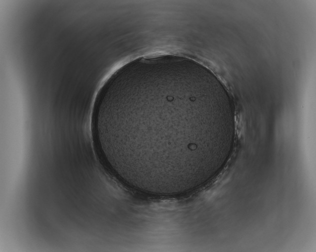 X0000112410196200909041403