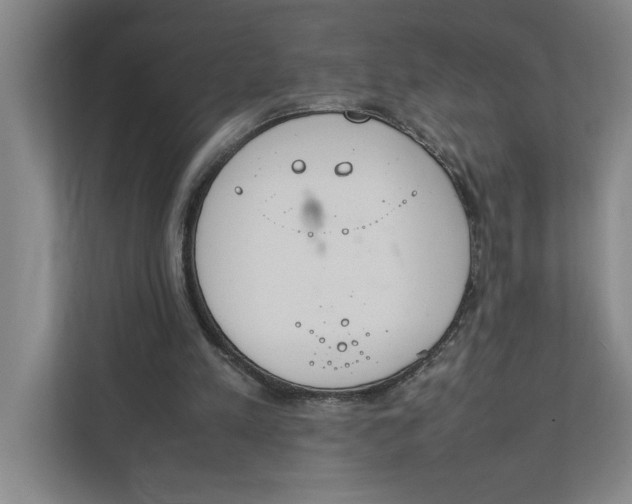 X0000112410197200909041403