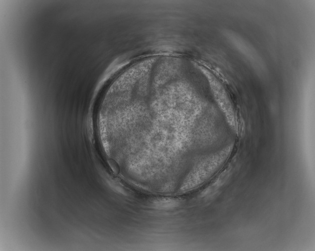 X0000112410198200909041403