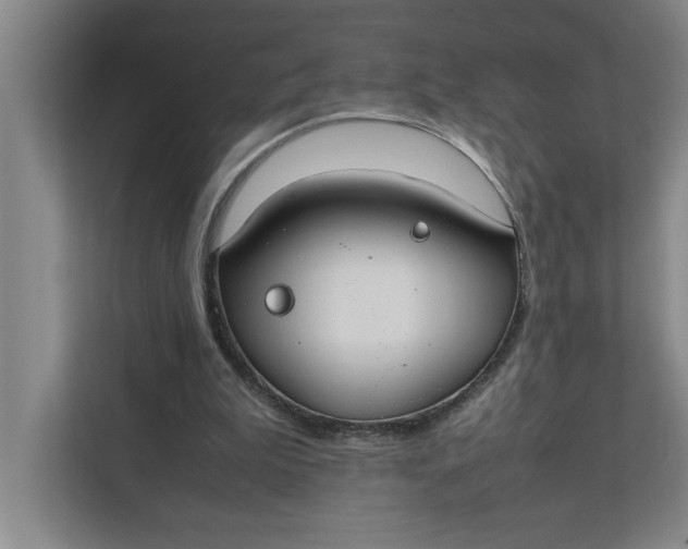 X0000112410199200909041403