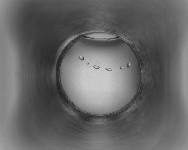 X0000112410200200909041403