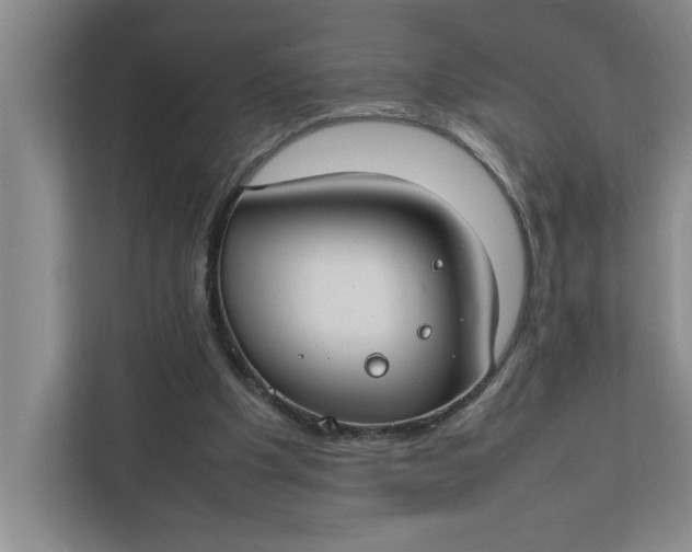 X0000112410201200909041403