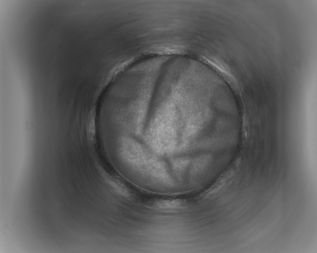 X0000112410202200909041403