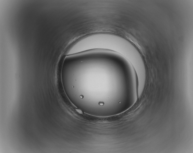 X0000112410203200909041403