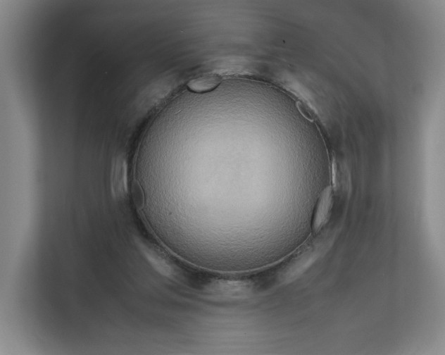 X0000112410205200909041403