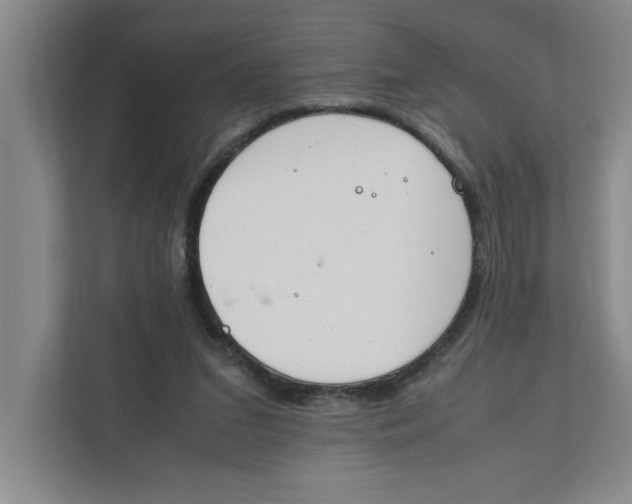 X0000112410207200909041403