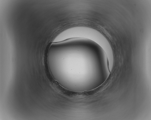 X0000112410209200909041403