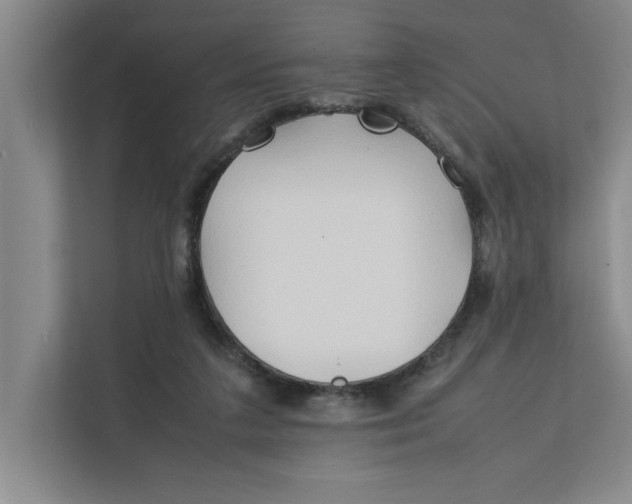 X0000112410211200909041403