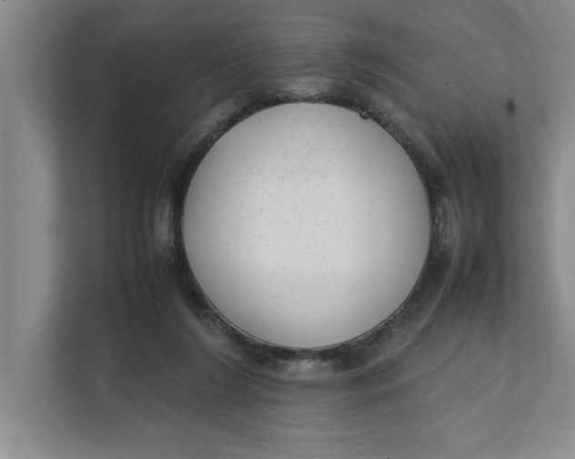 X0000112410212200909041403