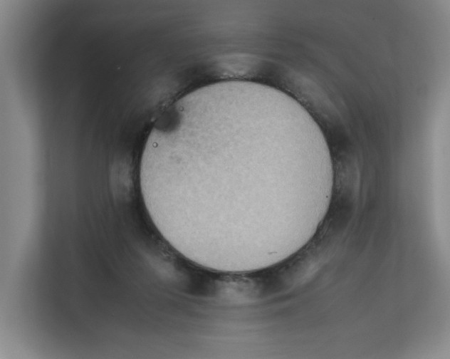 X0000112410215200909041403