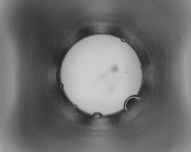 X0000112410217200909041403