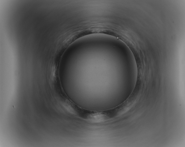 X0000112410219200909041403