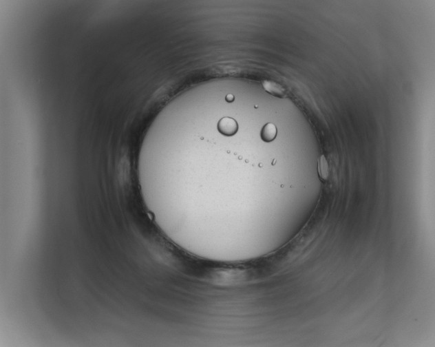 X0000112410220200909041403