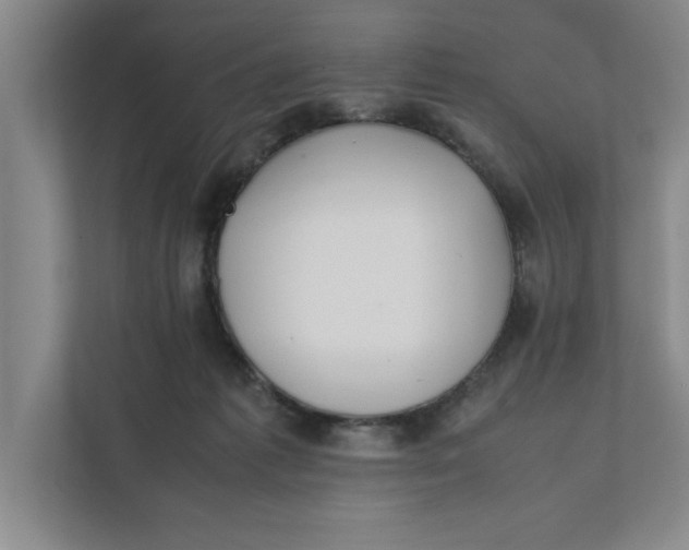 X0000112410221200909041403