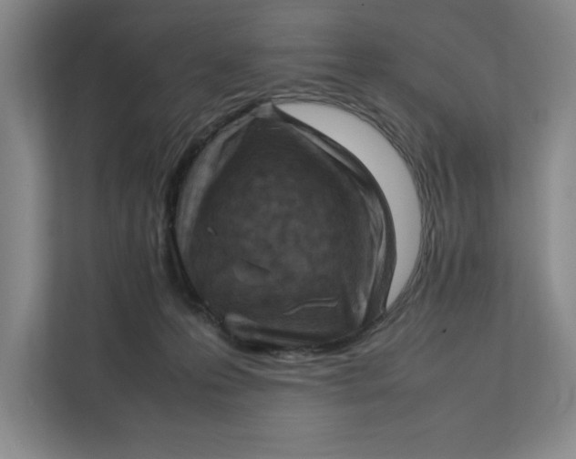 X0000112410223200909041403