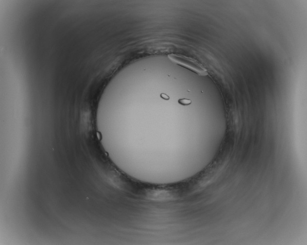 X0000112410224200909041403