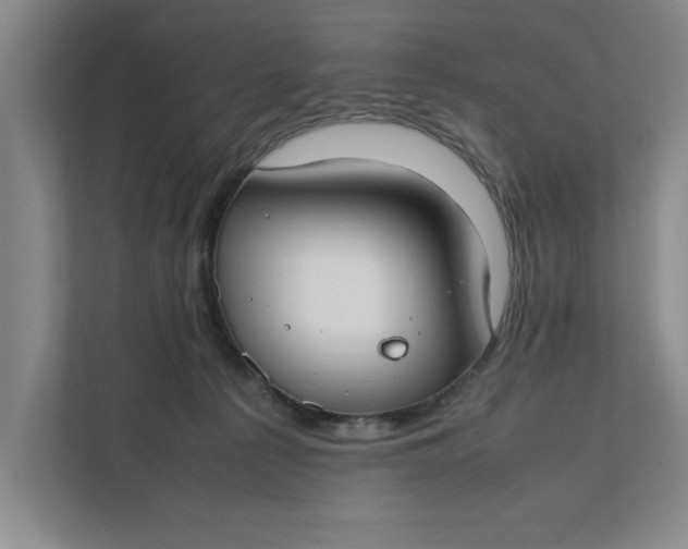 X0000112410225200909041403