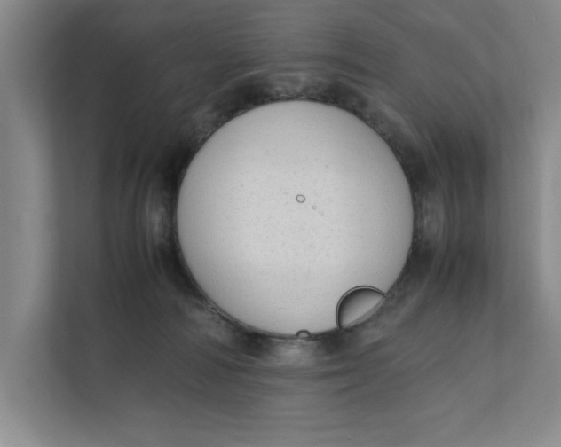 X0000112410226200909041403