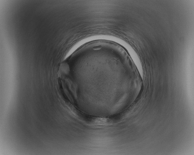 X0000112410227200909041403