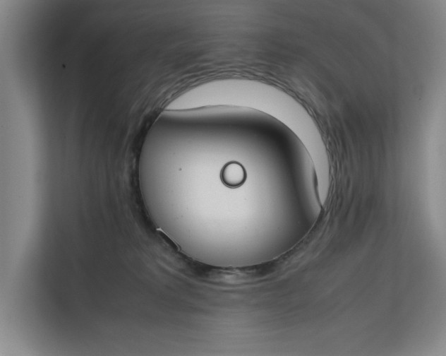 X0000112410229200909041403