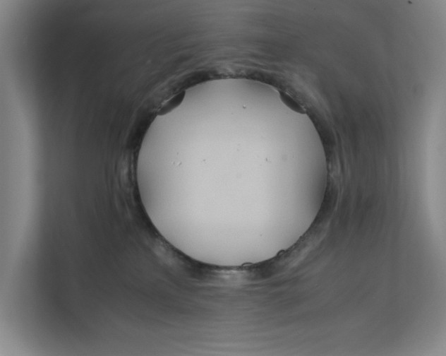 X0000112410233200909041403