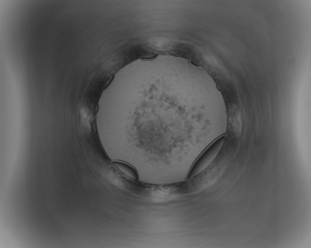 X0000112410235200909041403