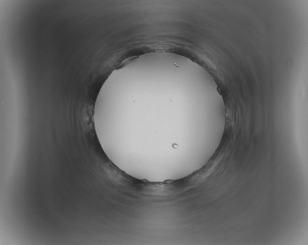 X0000112410237200909041403