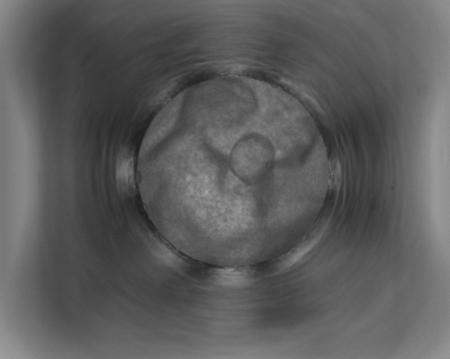 X0000112410238200909041403