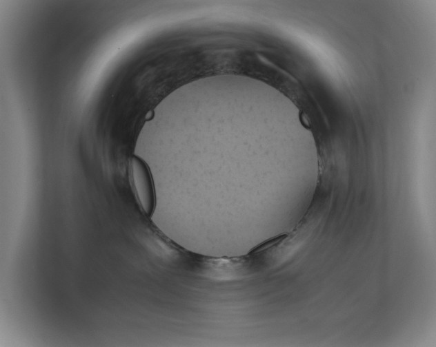 X0000112410239200909041402