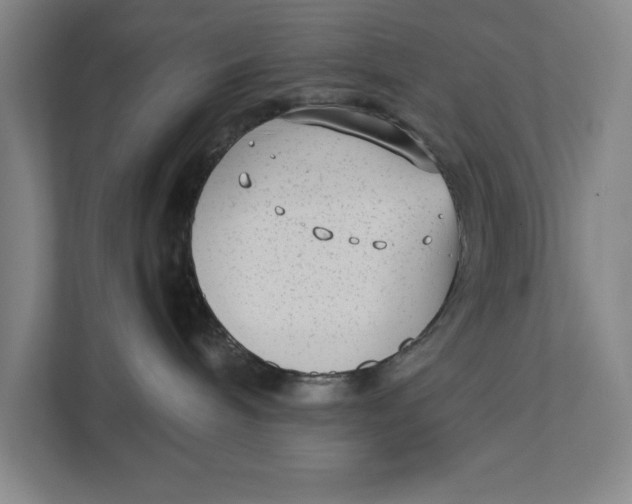 X0000112410240200909041402