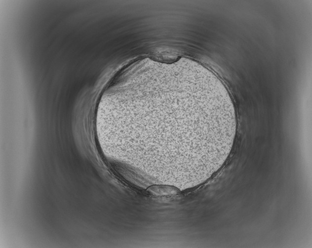 X0000112410241200909041402