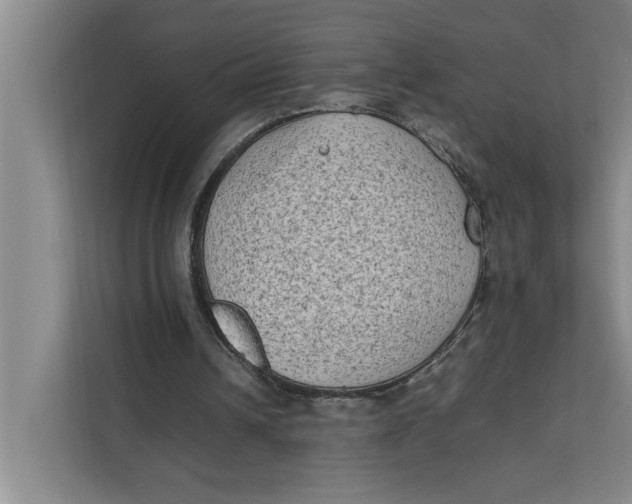 X0000112410242200909041402